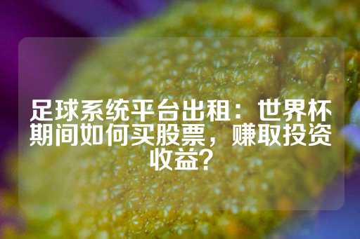 足球系统平台出租：世界杯期间如何买股票，赚取投资收益？