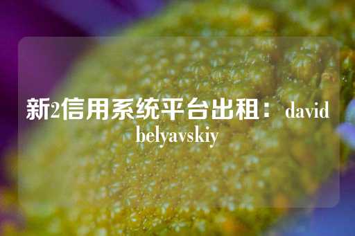 新2信用系统平台出租：davidbelyavskiy